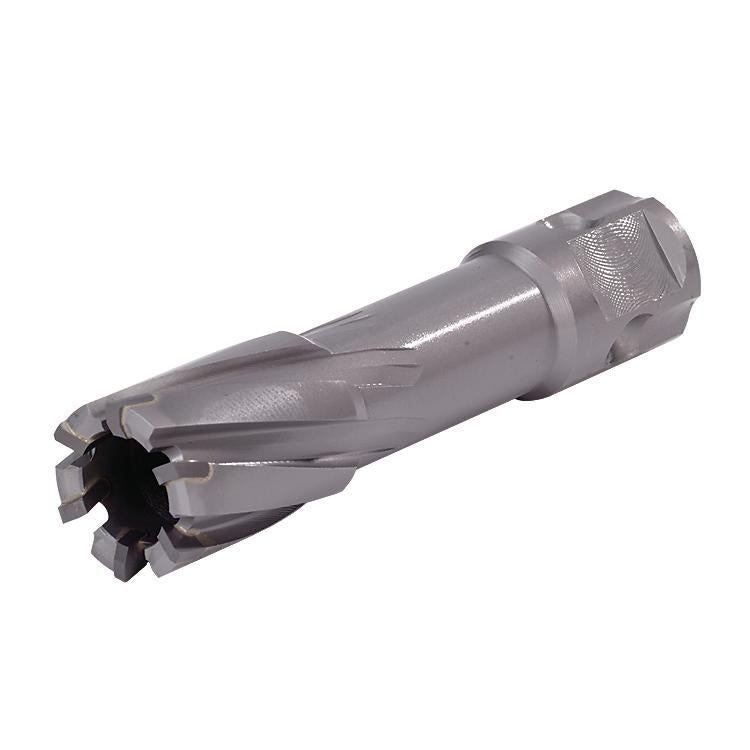 Bits Walter 05H311 11/16 InchX2 Inch Depth Carbide Universal Shank