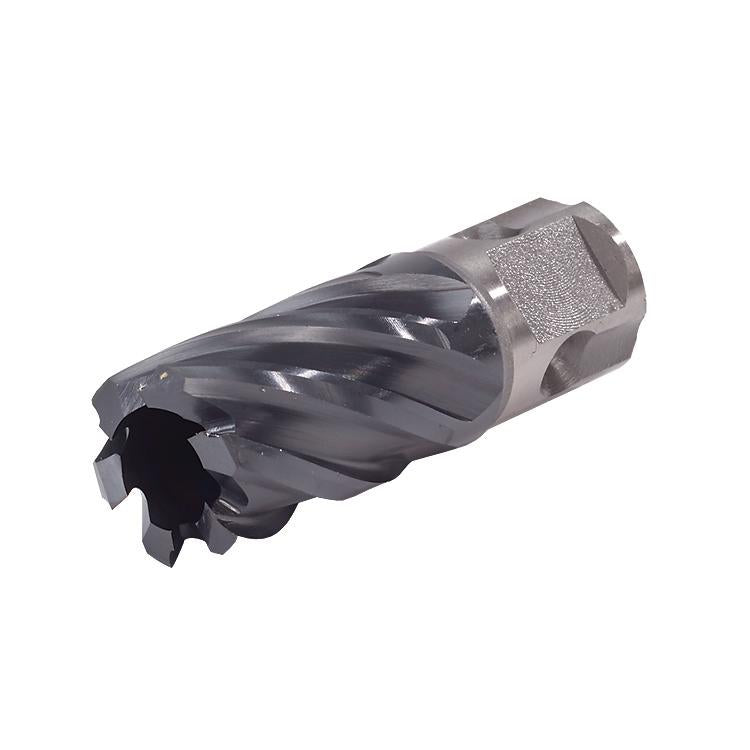 Cutting Bits Walter 05F106 1-3/8 Inch x 1 Inch Depth Icecut Universal Shank