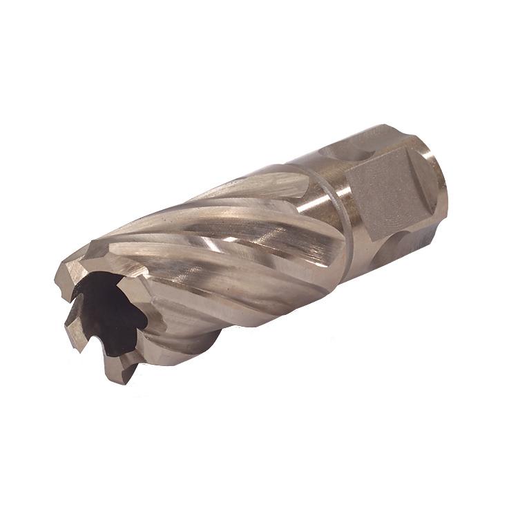 Cutting Bits Walter 05E406 1-3/8 InchX2 Inch Depth SST Corecut Universal Shank
