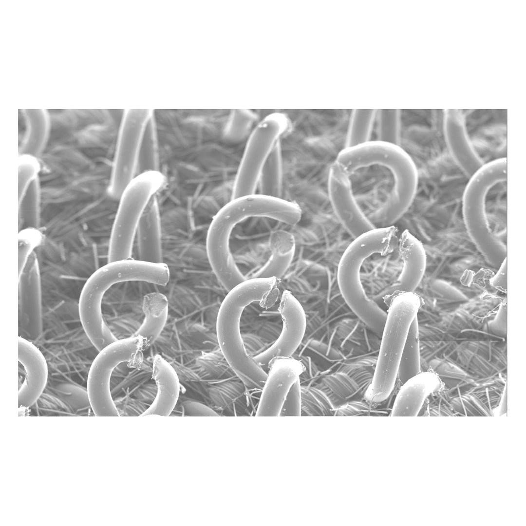 Backup Pads 3M AB20443 Clean Sanding Disc Pad Hook Saver 2044 5 in x 3/4 in 31 Holes