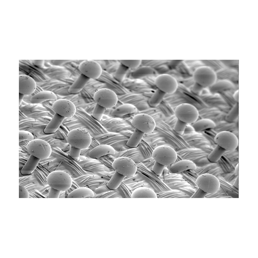 Backup Pads 3M AB28323 Clean Sanding interface Disc Pad 28323 5 in x 1/2 in x 3/4 in 31 Holes