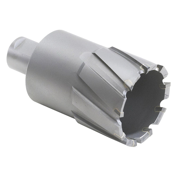 WALTER 05D812 3/4 Inch x 4 Inch Carbide Core Cut