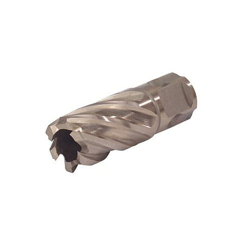 Cutting Bits Walter 05E314 7/8 InchX2 Inch Depth SST Corecut Universal Shank
